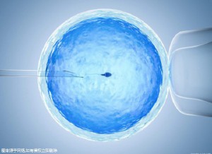 供卵代生医院